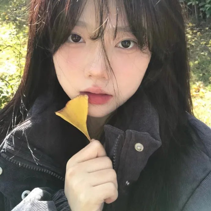加菲猫和他的朋友们第五季